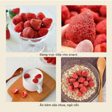 Dâu Tây Sấy Giòn Hộp 100g