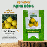 Hạt giống Dưa Lê Thơm Vỏ Vàng Hoàng Gia 365 (1g~20 hạt)