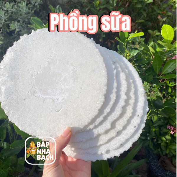 Bánh Phồng Sữa - Bánh trạm dừng chân bò sữa