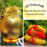 1 cặp (2cái) đế chưng hoa quả tết đính chữ Lộc