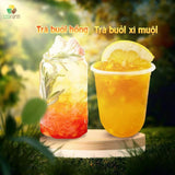 Bưởi Xí Muội Cô Đặc 500g