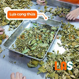 Lá Giang Khô Sấy Lạnh 200g