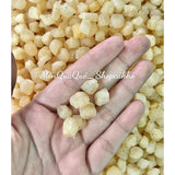 Còi Sò Điệp Phú Quốc