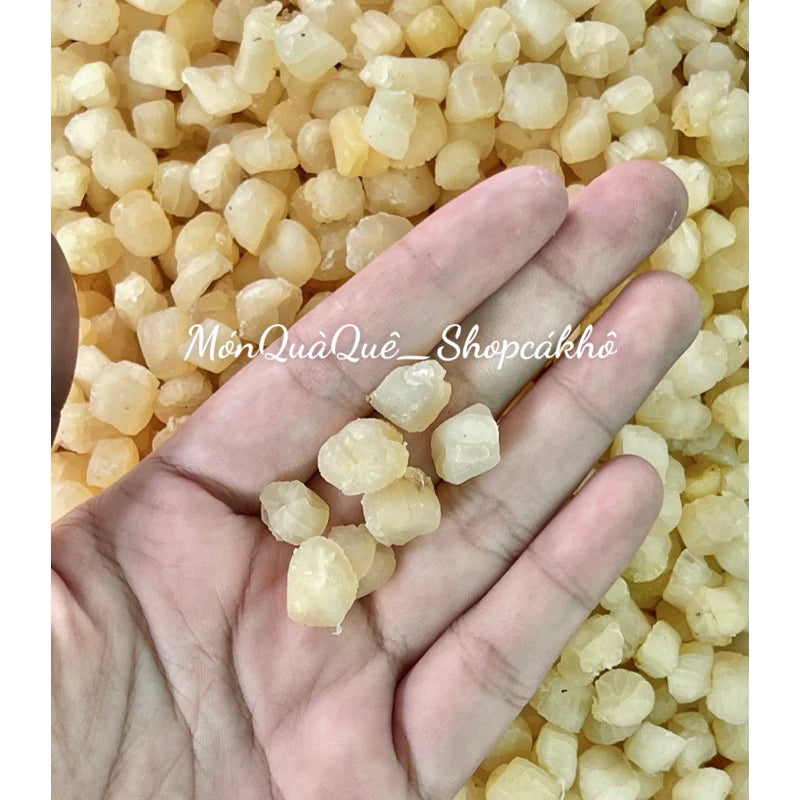 Còi Sò Điệp Phú Quốc