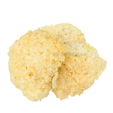Nấm Tuyết 100g