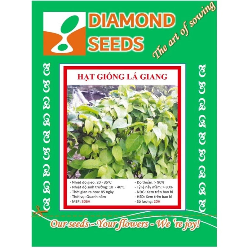 20 HẠT GIỐNG LÁ GIANG