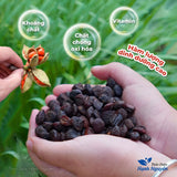 Hạt Dổi Rừng 50g