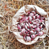 Đậu Ngự Sạch Điện Biện 500g