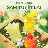 Trà Sam Tuyết Lài Dotea 500g