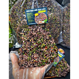 Cơm Đáy Nồi Gạo Lứt Mắm Hành 500g