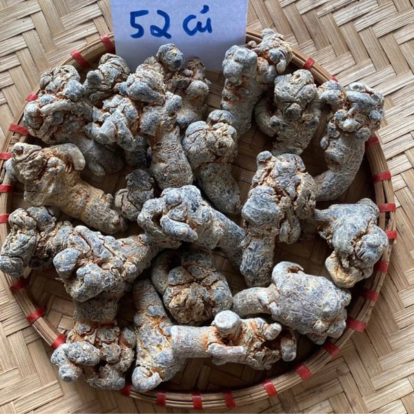 Củ tam thất khô Tây Bắc thơm 300g