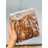 Măng Khô Măng Le Đồng Bào Măng Đắk Lắk 500g