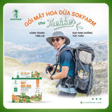 Mật Hoa Dừa Cô Đặc SOKFARM Stick Tiện Lợi (Hộp 12 Gói)