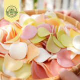 Bánh Phồng Tôm Rau Củ Eatclean Tây Nguyên Food 400g