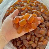 Hạt Đác Sấy Đường Thốt Nốt 500g