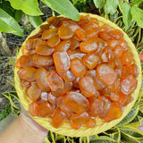 Hạt Đác Sấy Đường Thốt Nốt 500g