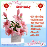 Set nguyên liệu làm hoa Tết kẽm nhung đầy đủ phụ kiện - Diy