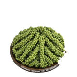 Tiêu Xanh Sấy Lạnh Cao Cấp Túi 50g