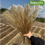 Miến Dong Khoai Sâm Sợi Nhỏ Điện Biên 1kg