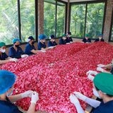 Muối tắm hoa hồng Karose Epsom 100g