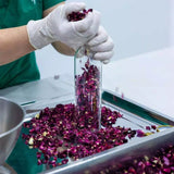 Trà hoa hồng Karose Sip 15g