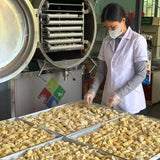 Sầu Riêng Sấy Thăng Hoa 100g