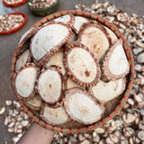 Cây Cỏ Máu Ngọt 1kg