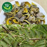 Hoàng Bá Sấy Khô 500g