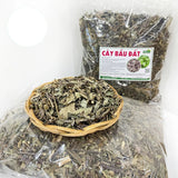 Cây Bầu Đất Tía Khô 500g