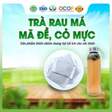 Trà Rau Má Mã Đề Cỏ Mực Hộ Nhiên 30 Túi Lọc