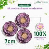 Hộp 5 Bông Trà Hoa Sen Nở Hoa Kentary