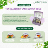 Hộp 5 Bông Trà Hoa Sen Nở Hoa Kentary