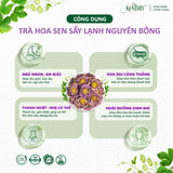 Hộp 5 Bông Trà Hoa Sen Nở Hoa Kentary