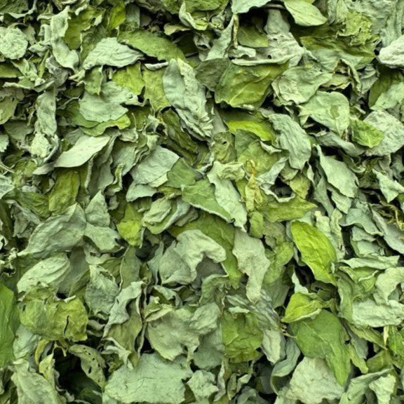Rau ngót sấy lạnh 55g