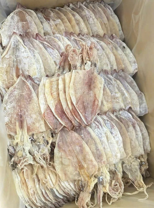 KHÔ MỰC CÂU PHÚ QUỐC đủ size thịt dày, ngọt, mới 100% (Hàng đủ nắng), 500gram