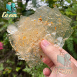 Set Bánh Tráng Muối Siêu Tỏi đậm vị, thơm ngon 250g (bịch siêu to)