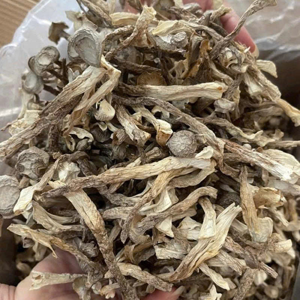 500g Nấm Lộc Nhung Khô Nguyên Cây