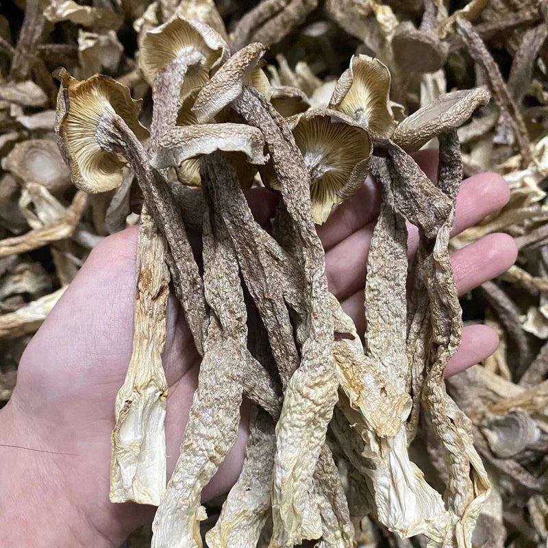 500g Nấm Lộc Nhung Khô Nguyên Cây