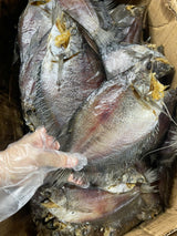 Khô Sặc Bổi Lạt (nhạt), Vừa ăn, Có đầu 500Gram